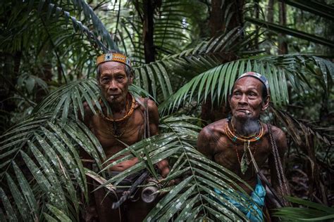  ジャングルの生命の謎！古代文明と交差するインドネシアの科学探求