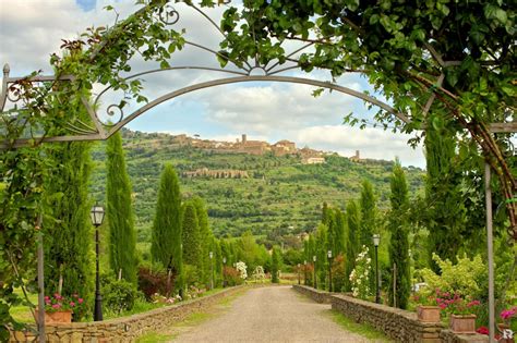  「Under the Tuscan Sun」：太陽の光とイタリアの風土が織りなす、自己発見の物語