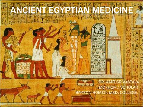  Understanding Urology: A Journey Through Ancient Egyptian Medical Practices!